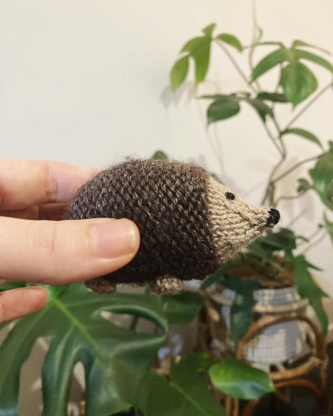 Little Oddment Hedgehog Knitting Kit | Organic