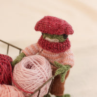 Frog Knitting Kit | Pink Edition