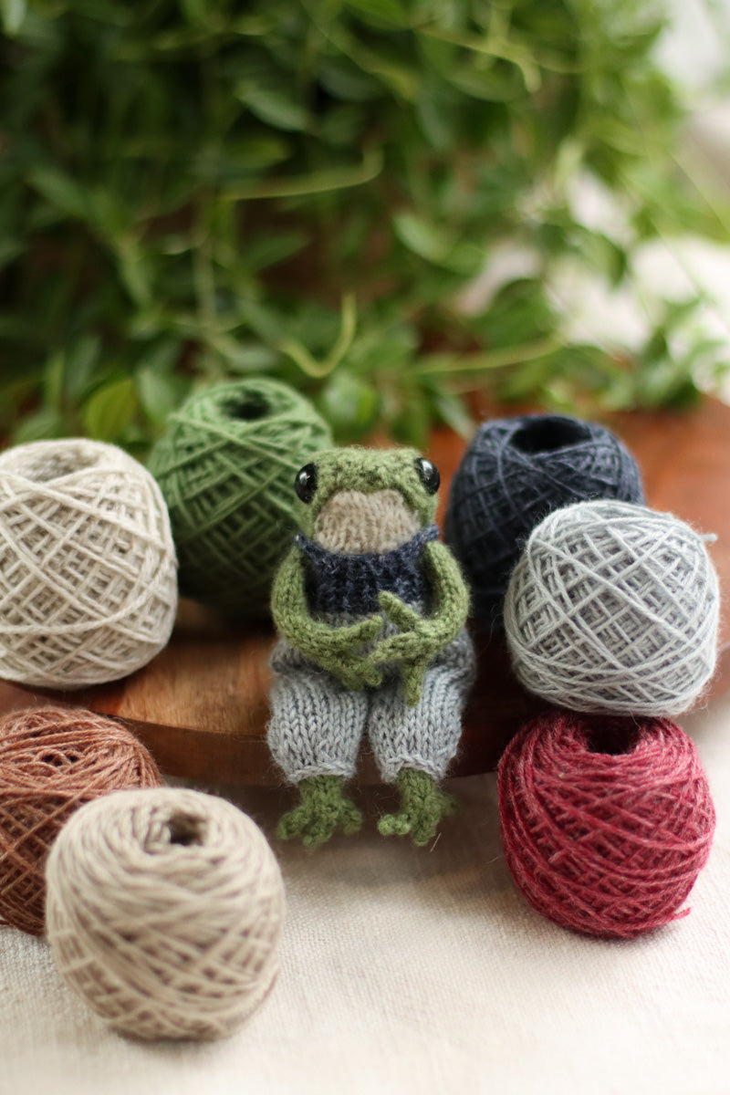Frog Knitting Kit