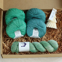 Sock Knitter's Christmas Gift Set