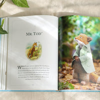 Knitting Peter Rabbit: 12 Toy Knitting Patterns from the Tales of Beatrix Potter