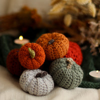 Sharing the Harvest Crochet Pumpkins| PDF Crochet Pattern