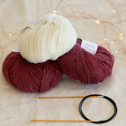 Learn to Knit Socks Kit | Two-Tone