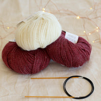 Learn to Knit Socks Kit | Two-Tone