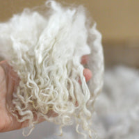 Raw Mohair Locks (Gnome Beards)