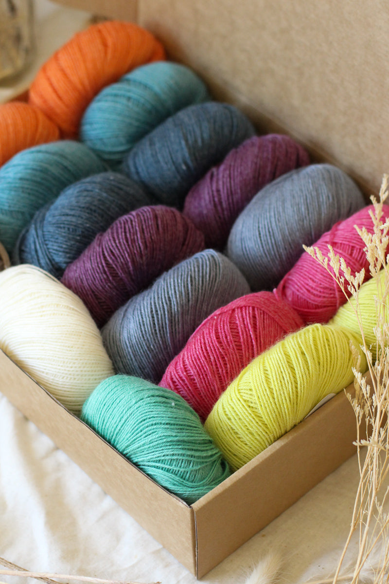 Hedgehog's Choice Ultimate Sock Knitter's Box | Box 3