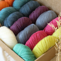Hedgehog's Choice Ultimate Sock Knitter's Box | Box 3