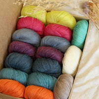 Hedgehog's Choice Ultimate Sock Knitter's Box | Box 3
