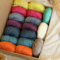 Hedgehog's Choice Ultimate Sock Knitter's Box | Box 3