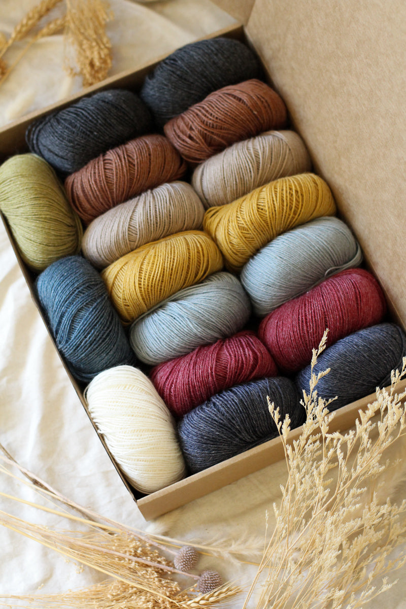 Hedgehog's Choice Ultimate Sock Knitter's Box | Box 4