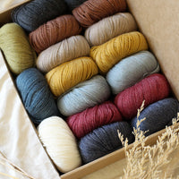 Hedgehog's Choice Ultimate Sock Knitter's Box | Box 4