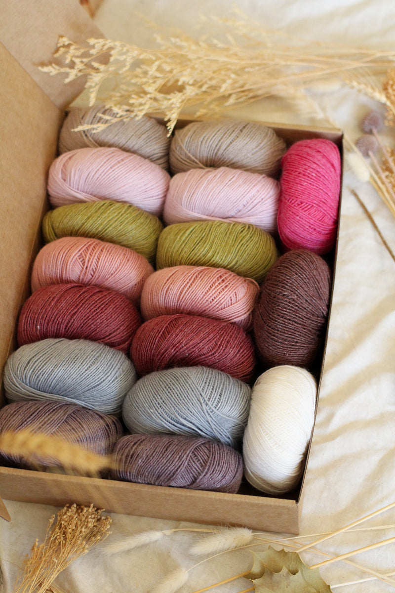 Hedgehog's Choice Ultimate Sock Knitter's Box | Box 1