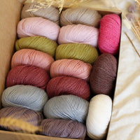 Hedgehog's Choice Ultimate Sock Knitter's Box | Box 1