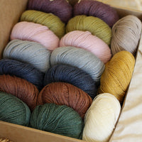 Hedgehog's Choice Ultimate Sock Knitter's Box | Box 2