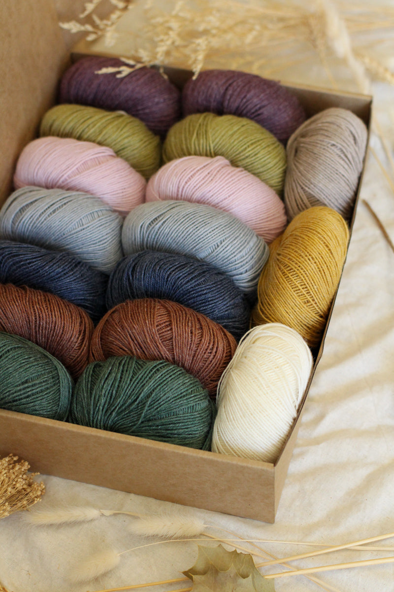 Hedgehog's Choice Ultimate Sock Knitter's Box | Box 2