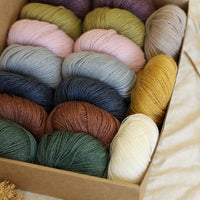 Hedgehog's Choice Ultimate Sock Knitter's Box | Box 2