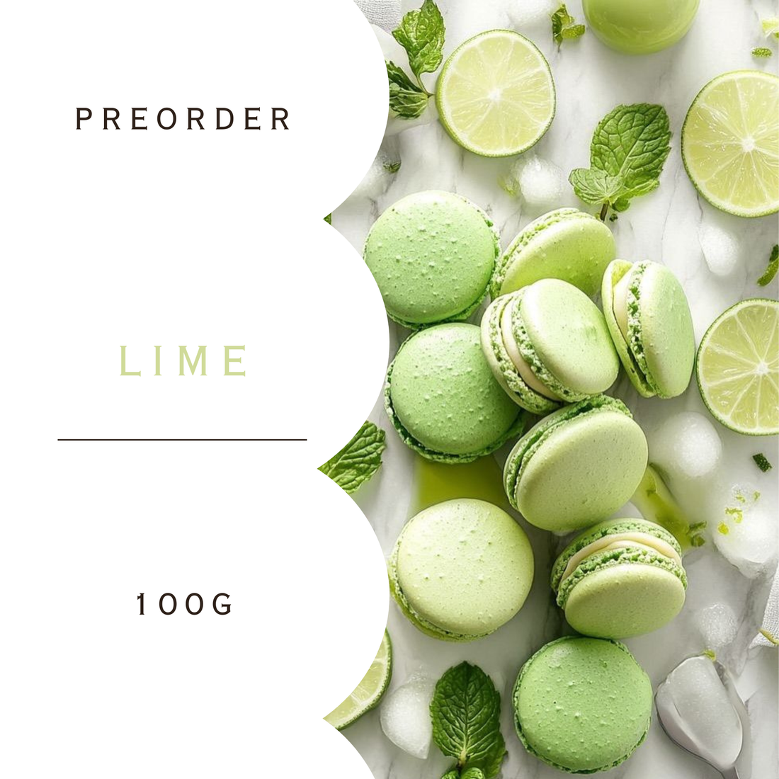 Macaron Sock Collection | Hand Dyed PREORDER