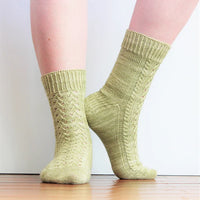 Sock of the Month Club | July/August KAL Hand Dyed Kit