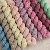 Macaron Mini Set | Hand Dyed 8 x 20g Mini Skeins