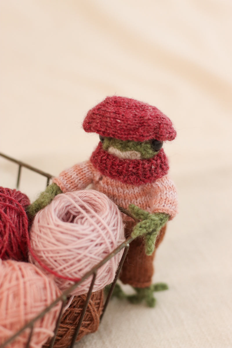Frog Knitting Kit | Pink Edition