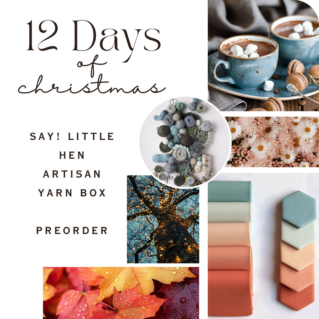 12 Days of Christmas Artisan Yarn Box | PREORDER