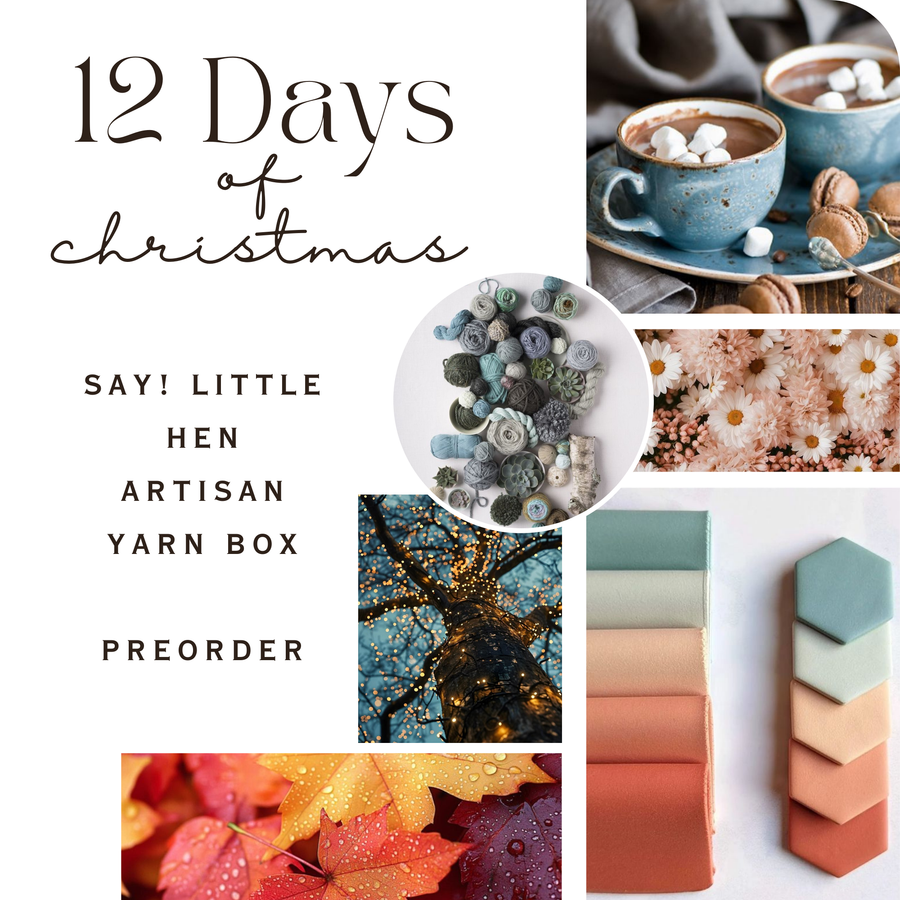 12 Days of Christmas Artisan Yarn Box | PREORDER