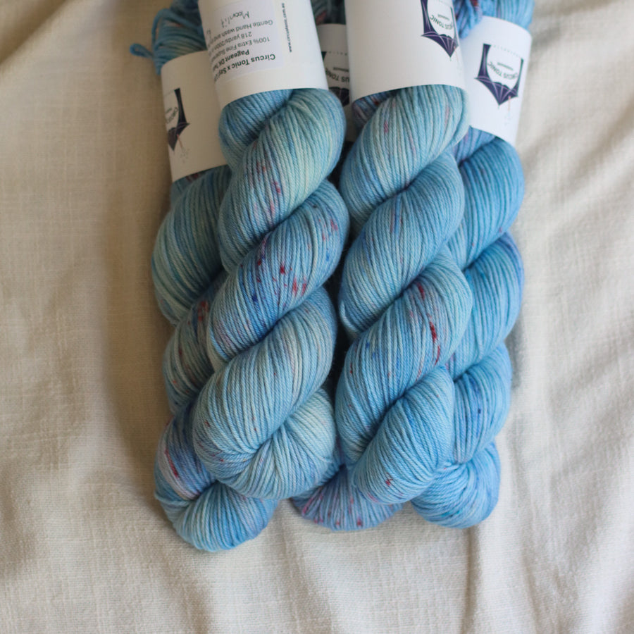 Forest Romance Collection | Hand Dyed 8ply/DK Merino 115g