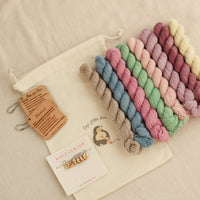 Sock Knitter's Macaron Christmas Gift Set