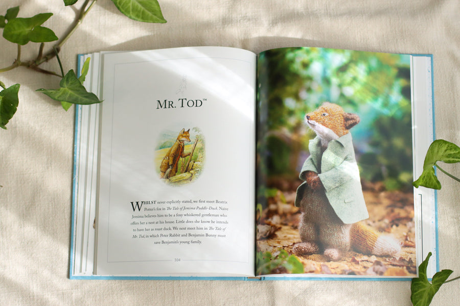 Knitting Peter Rabbit: 12 Toy Knitting Patterns from the Tales of Beatrix Potter
