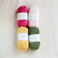 Sock of the Month Club | October Kit