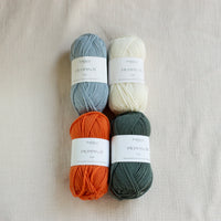 Sock of the Month Club | October Kit