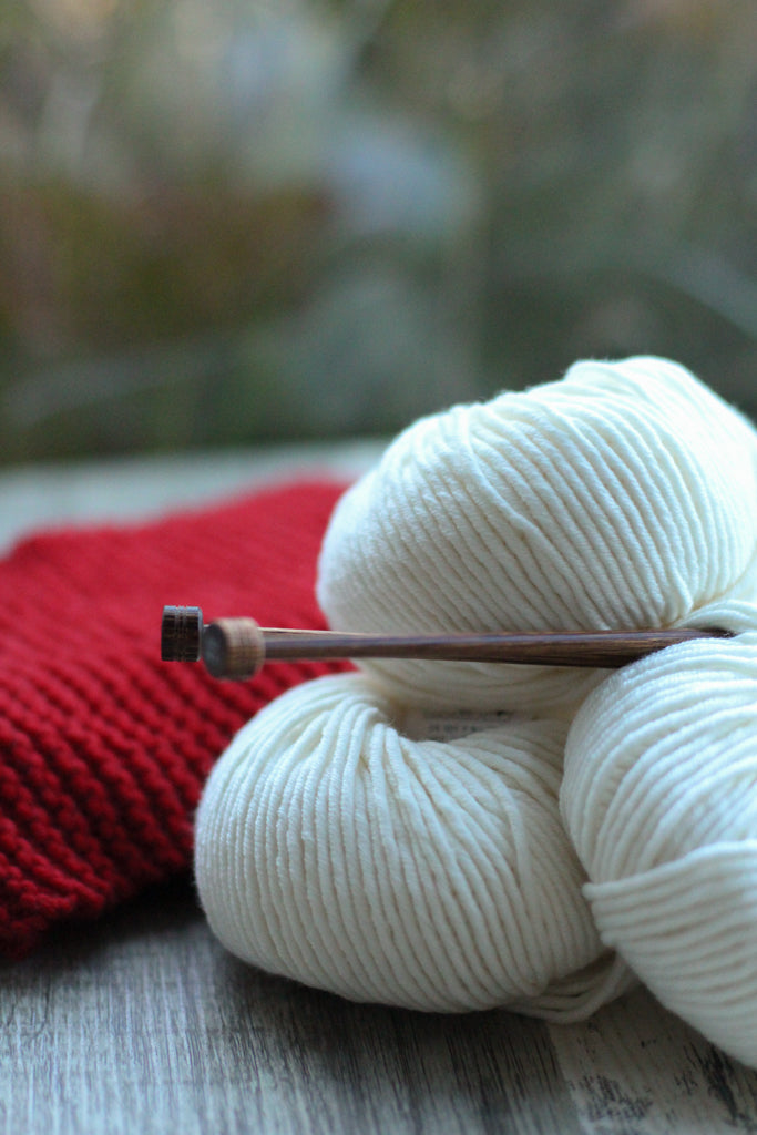 Beginner's Knitting Kit | Learn to Knit Project