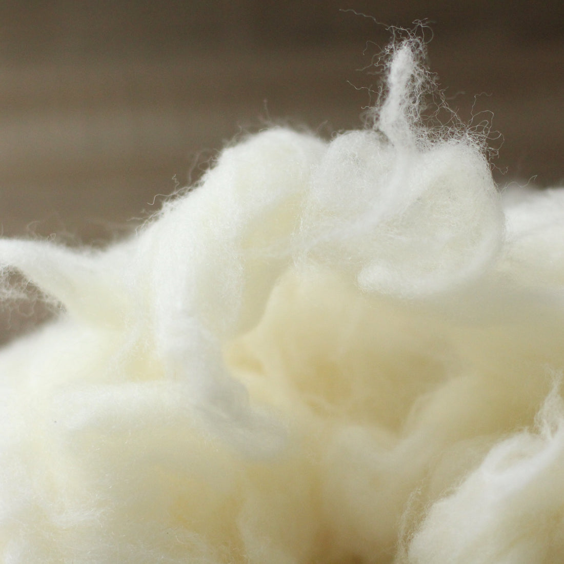 Wool Filling (Stuffing)