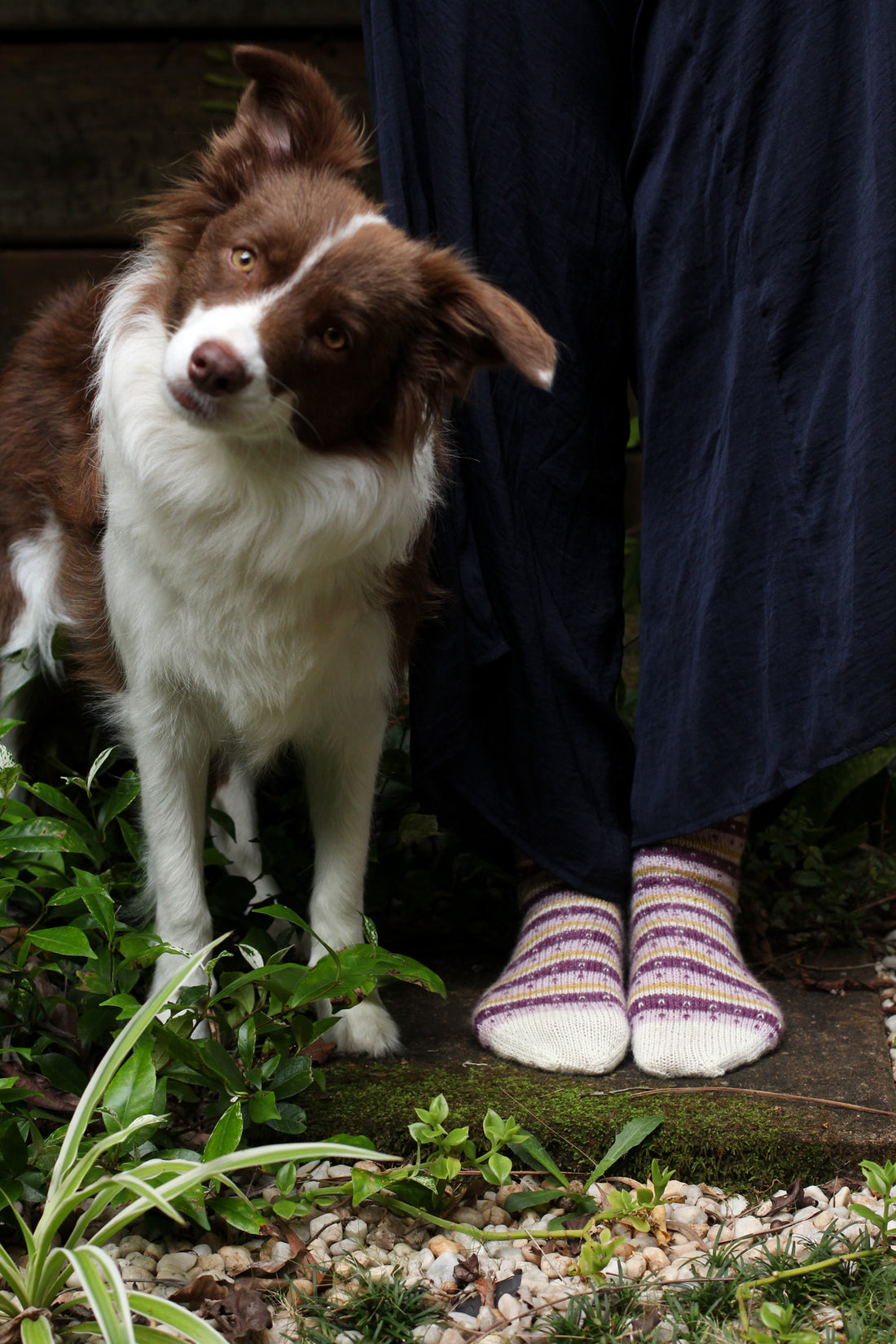 Friday Fair Isle Socks | PDF Knitting Pattern